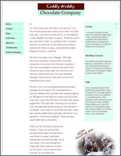 Cuddly Wuddly Chocolate Company